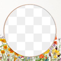 Flower frame png blooming illustration drawing