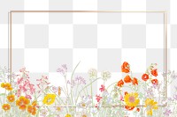 Floral frame png blooming flowers illustration