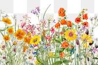 Png colorful vintage flower background illustration