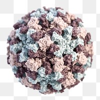 A 3D illustration of graphical representation of a single norovirus virion transparent png