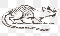 Engraving png rat  vintage icon drawing