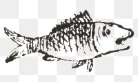 Engraving png fish vintage icon drawing