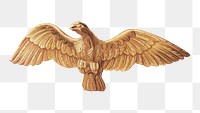 Vintage eagle png illustration, remixed from the artwork by Ethel Clarke