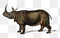 Vintage Indian rhinoceros png wild animal, remix from artworks by Charles Dessalines D'orbigny