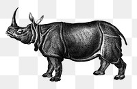 Vintage Indian rhinoceros png wild animal, remix from artworks by Charles Dessalines D&#39;orbigny