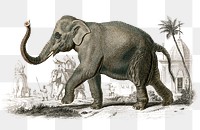 Vintage png Asian elephant animal, remix from artworks by Charles Dessalines D'orbigny