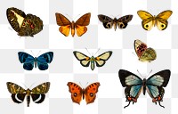 Vintage butterflies and moths png set, remix from artworks by Charles Dessalines D'orbigny