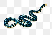 Vintage yellow-lipped sea krait png snake reptile, remix from artworks by Charles Dessalines D&#39;orbigny