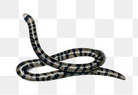 Vintage Anilius png snake reptile animal, remix from artworks by Charles Dessalines D'orbigny