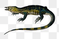 Vintage water monitor png lizard, remix from artworks by Charles Dessalines D&#39;orbigny