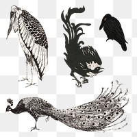 Vintage bird art print png collection, remix from artworks by Theo van Hoytema