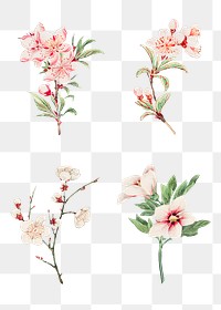 Vintage Japanese pink flower png art print set, remix from artworks by Megata Morikaga