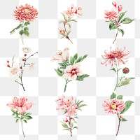Vintage Japanese pink flower png art print set, remix from artworks by Megata Morikaga