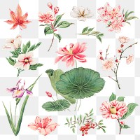 Pink Japanese plant png art print, remix from artworks by Megata Morikaga