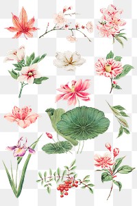Japanese plant png art print, remix from artworks by Megata Morikaga