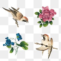 Chinese flower and bird png set, remix from artworks by Zhang Ruoai