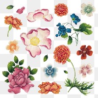 Vintage Chinese flower png set, remix from artworks by Zhang Ruoai