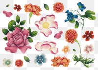 Chinese flower png sticker set, remix from artworks by Zhang Ruoai