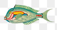 Vintage fish png sticker, aquatic animal surreal illustration, remix from the artwork of Louis Renard