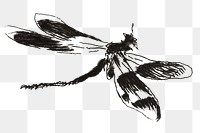 Png dragonfly vintage insect illustration, remixed from artworks by &Eacute;douard Manet