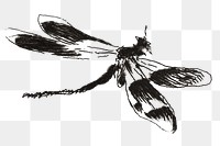 Png dragonfly vintage insect illustration, remixed from artworks by édouard Manet