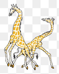 Png giraffes vintage illustration, remixed from artworks by Moriz Jung