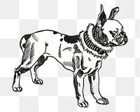 Png Pitbull Terrier vintage dog illustration, remixed from artworks by Moriz Jung
