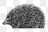 Hedgehog png sticker vintage illustration, remixed from artworks from Leo Gestel