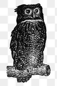 Vintage owl png hand drawn illustration, remixed from artworks from Leo Gestel