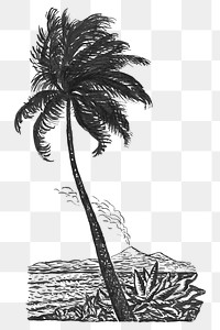 Palm tree png vintage illustration, remixed from artworks from Leo Gestel