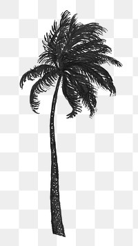 Palm tree png vintage illustration, remixed from artworks from Leo Gestel