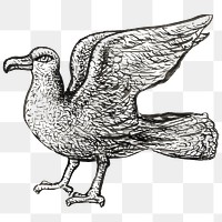 Vintage seagull png hand drawn illustration, remixed from artworks from Leo Gestel