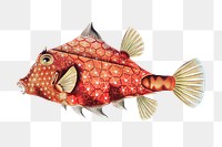 Vintage fish illustration transparent png