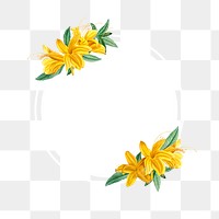 Rhododendron flavum on a frame transparent png