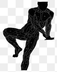 Human anatomy png in silhouette design element, remixed from artworks by Reijer Stolk