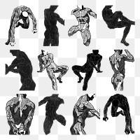 Man's muscles png human anatomy set, remixed from artworks by Reijer Stolk