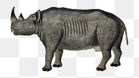 Black rhinoceros png vintage animal illustration, remixed from the artworks by Robert Jacob Gordon