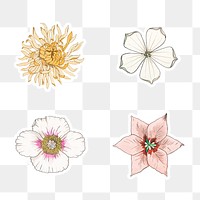 Vintage flower sticker with white border set design element