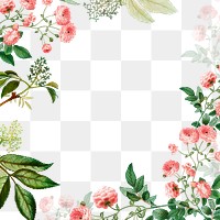 Botanical frame design transparent png