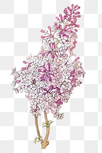 Vintage lilac flower transparent png design element