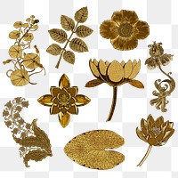 Vintage gold flower and leaf transparent png design element set