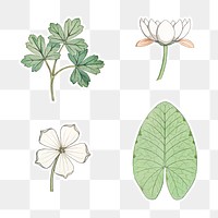 Vintage flower and leaf sticker with white border design element