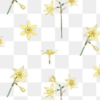 Vintage jonquil flower pattern transparent png design resource