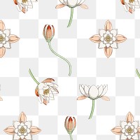 Vintage water lily flower pattern transparent png design resource