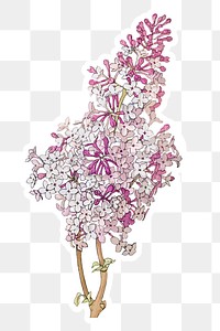 Vintage lilac flower sticker with white border design element