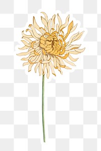 Vintage chrysanthemum flower sticker with white border design element