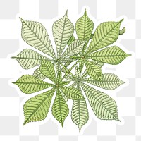 Vintage chestnut leaf sticker with white border design element