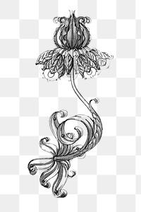 Black and white crown imperial flower transparent png design element