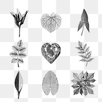 Black and white leaf set transparent png design element