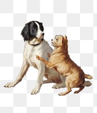 Painting of two playful dogs transparent png